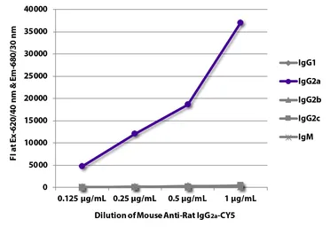 Mouse Anti-Rat IgG2a antibody [2A8F4] (Cy5). GTX04140-24