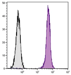 Mouse Anti-Rat IgG2b antibody [2B10A8] (FITC). GTX04141-06