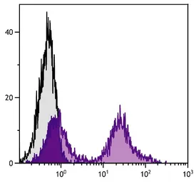 Mouse Anti-Rat IgG2c antibody [2C8F1] (FITC). GTX04142-06