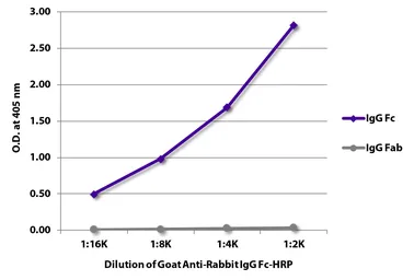 Goat Anti-Rabbit IgG (Fc) antibody, pre-adsorbed (HRP). GTX04148-01