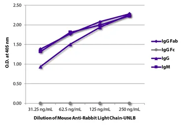 Mouse Anti-Rabbit (Light chain) antibody [SB62a]. GTX04152