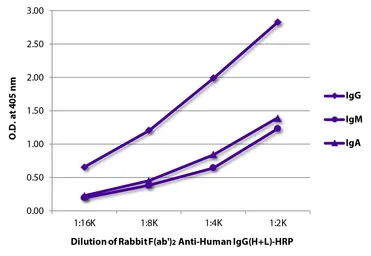 Rabbit Anti-Human IgG antibody, F(ab')2 fragment, pre-adsorbed (HRP). GTX04154-01