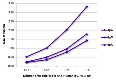 Rabbit Anti-Human IgG antibody, F(ab')2 fragment, pre-adsorbed (AP). GTX04154-03