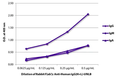 Rabbit Anti-Human IgG antibody, F(ab')2 fragment, pre-adsorbed. GTX04154