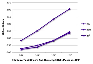 Rabbit Anti-Human IgG antibody, F(ab')2 fragment, pre-adsorbed (HRP). GTX04155-01