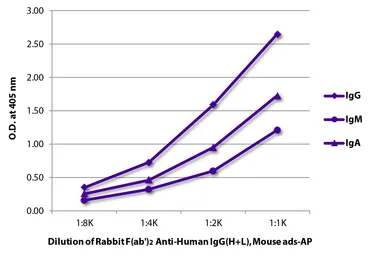Rabbit Anti-Human IgG antibody, F(ab')2 fragment, pre-adsorbed (AP). GTX04155-03