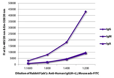 Rabbit Anti-Human IgG antibody, F(ab')2 fragment, pre-adsorbed (FITC). GTX04155-06