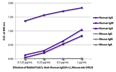 Rabbit Anti-Human IgG antibody, F(ab')2 fragment, pre-adsorbed. GTX04155