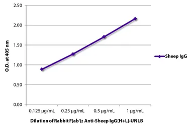 Rabbit Anti-Sheep IgG antibody, F(ab')2 fragment, pre-adsorbed. GTX04156
