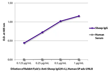 Rabbit Anti-Sheep IgG antibody, F(ab')2 fragment, pre-adsorbed. GTX04157
