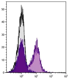 Goat Anti-Golden Syrian Hamster IgG antibody, pre-adsorbed (APC). GTX04160-07