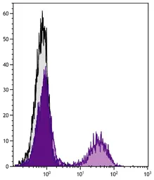 Goat Anti-Golden Syrian Hamster IgG antibody, F(ab')2 fragment, pre-adsorbed (PE). GTX04161-08