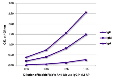 Rabbit Anti-Mouse IgG antibody, F(ab')2 fragment, pre-adsorbed (AP). GTX04163-03