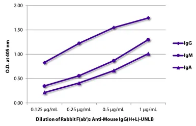 Rabbit Anti-Mouse IgG antibody, F(ab')2 fragment, pre-adsorbed. GTX04163