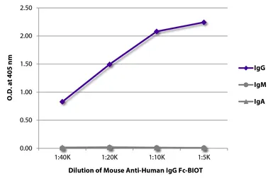 Mouse Anti-Human IgG (Fc) antibody [H2] (Biotin). GTX04177-02