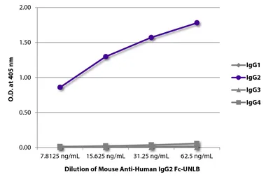 Mouse Anti-Human IgG2 (Fc) antibody [HP6002]. GTX04180