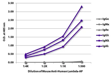Mouse Anti-Human lambda light chain antibody [JDC-12] (AP). GTX04185-03