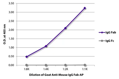 Goat Anti-Mouse IgG (Fab) antibody, pre-adsorbed (AP). GTX04191-03