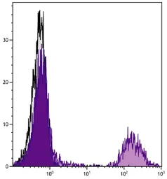 Goat Anti-Mouse IgM (Mu chain) antibody, pre-adsorbed (FITC). GTX04192-06