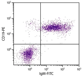 Goat Anti-Mouse IgM (Mu chain) antibody, pre-adsorbed (FITC). GTX04193-06