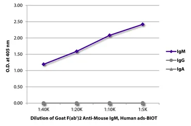 Goat Anti-Mouse IgM (Mu chain) antibody, F(ab')2 fragment, pre-adsorbed (Biotin). GTX04194-02