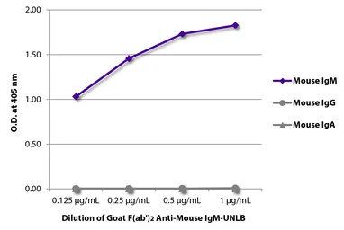 Goat Anti-Mouse IgM (Mu chain) antibody, F(ab')2 fragment, pre-adsorbed. GTX04195
