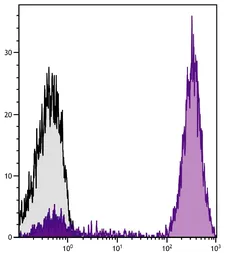 Goat Anti-Mouse IgG antibody, F(ab')2 fragment, pre-adsorbed (R-PE-Cy5). GTX04196-09