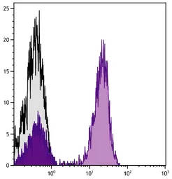Goat Anti-Mouse IgG antibody, F(ab')2 fragment, pre-adsorbed (Cy5). GTX04196-24
