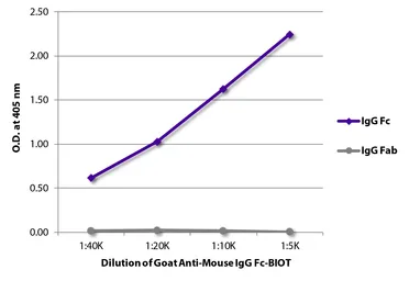 Goat Anti-Mouse IgG (Fc) antibody, pre-adsorbed (Biotin). GTX04197-02
