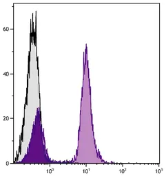 Goat Anti-Mouse IgA (Heavy chain) antibody, pre-adsorbed (FITC). GTX04200-06