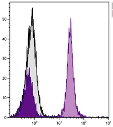 Goat Anti-Mouse IgA (Heavy chain) antibody, pre-adsorbed (PE). GTX04200-08