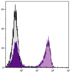 Goat Anti-Mouse kappa light chain antibody, pre-adsorbed (FITC). GTX04201-06