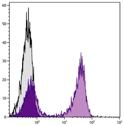 Goat Anti-Mouse kappa light chain antibody, pre-adsorbed (PE). GTX04201-08