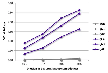 Goat Anti-Mouse lambda light chain antibody, pre-adsorbed (HRP). GTX04203-01