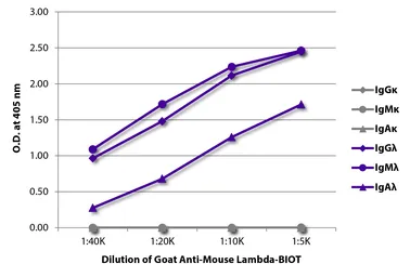 Goat Anti-Mouse lambda light chain antibody, pre-adsorbed (Biotin). GTX04203-02