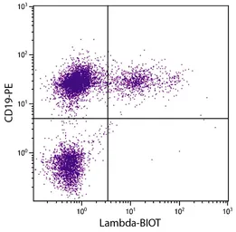 Goat Anti-Mouse lambda light chain antibody, pre-adsorbed (Biotin). GTX04203-02