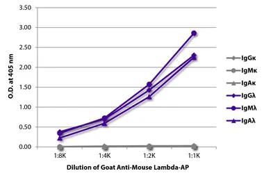 Goat Anti-Mouse lambda light chain antibody, pre-adsorbed (AP). GTX04203-03