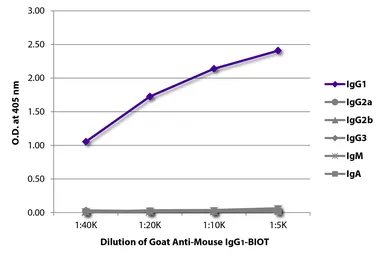 Goat Anti-Mouse IgG1 (Heavy chain) antibody, pre-adsorbed (Biotin). GTX04205-02