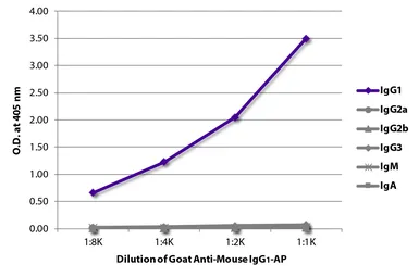 Goat Anti-Mouse IgG1 (Heavy chain) antibody, pre-adsorbed (AP). GTX04205-03