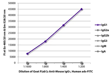 Goat Anti-Mouse IgG1 (Heavy chain) antibody, F(ab')2 fragment, pre-adsorbed (FITC). GTX04206-06