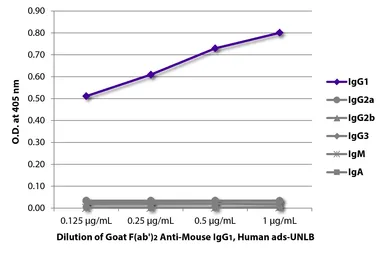 Goat Anti-Mouse IgG1 (Heavy chain) antibody, F(ab')2 fragment, pre-adsorbed. GTX04206