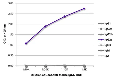 Goat Anti-Mouse IgG2c (Heavy chain) antibody, pre-adsorbed (Biotin). GTX04209-02