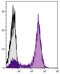Goat Anti-Mouse IgG2a (Heavy chain) antibody, pre-adsorbed (APC-Cy7). GTX04210-15