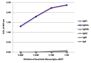 Goat Anti-Mouse IgG2a (Heavy chain) antibody, pre-adsorbed (Biotin). GTX04211-02