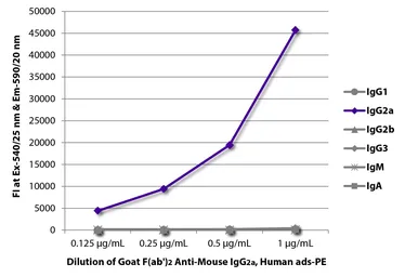 Goat Anti-Mouse IgG2a (Heavy chain) antibody, F(ab')2 fragment, pre-adsorbed (PE). GTX04212-08