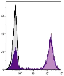Goat Anti-Mouse IgG2a (Heavy chain) antibody, F(ab')2 fragment, pre-adsorbed (PE). GTX04212-08