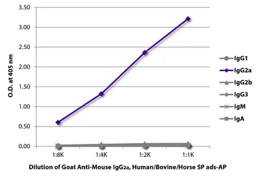 Goat Anti-Mouse IgG2a (Heavy chain) antibody, pre-adsorbed (AP). GTX04213-03