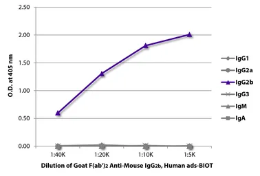 Goat Anti-Mouse IgG2b (Heavy chain) antibody, F(ab')2 fragment, pre-adsorbed (Biotin). GTX04216-02