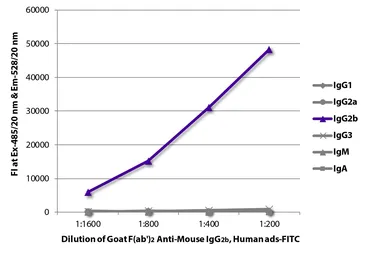 Goat Anti-Mouse IgG2b (Heavy chain) antibody, F(ab')2 fragment, pre-adsorbed (FITC). GTX04216-06