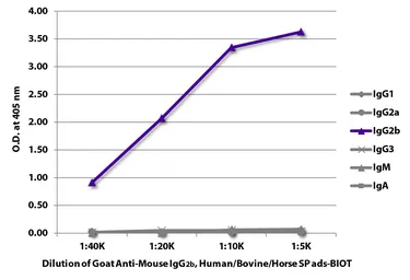 Goat Anti-Mouse IgG2b (Heavy chain) antibody, pre-adsorbed (Biotin). GTX04217-02